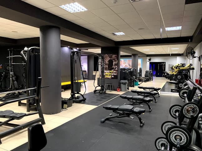 Alterlife Syros gym review 